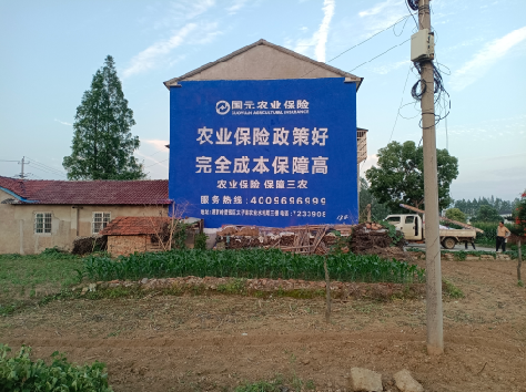 南召墙体广告为何受追捧？